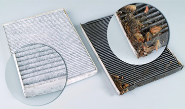 Evita ácaros y bacterias en tu aire acondicionado